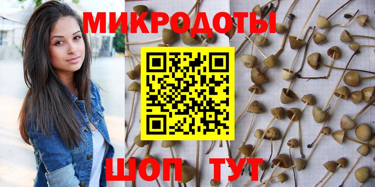 Галлюциногенные грибы мицелий  цены наркотик  Выкса  Псилоцибиновые грибы GOLDEN TEACHER  Вход с VPN 